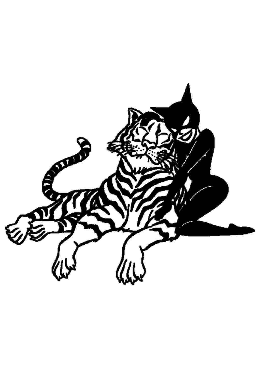 Жінка кішка Розфарбунки завантажити та роздрукувати безкоштовно