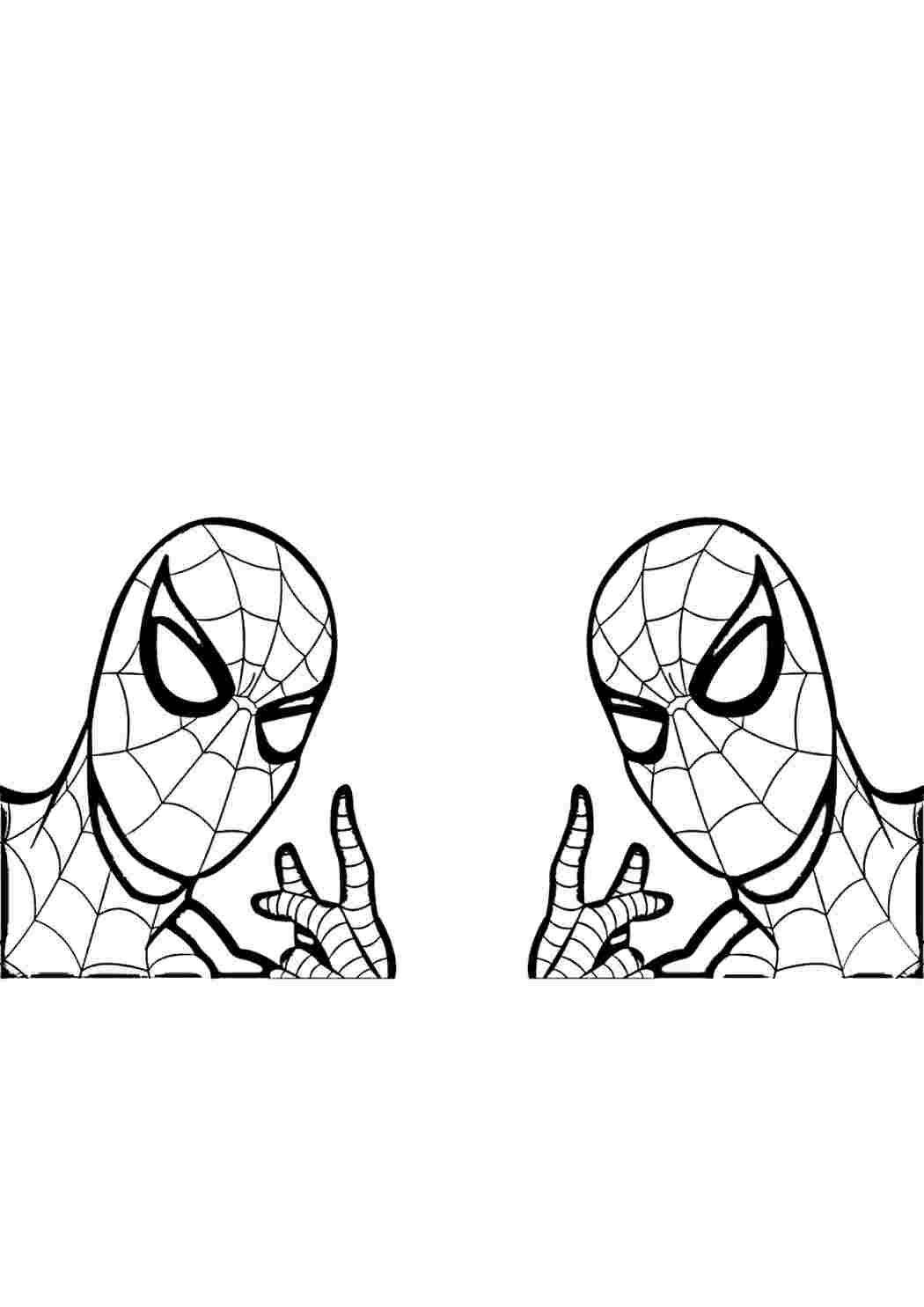Два Спайдермени Розфарбувати та надрукувати безкоштовно