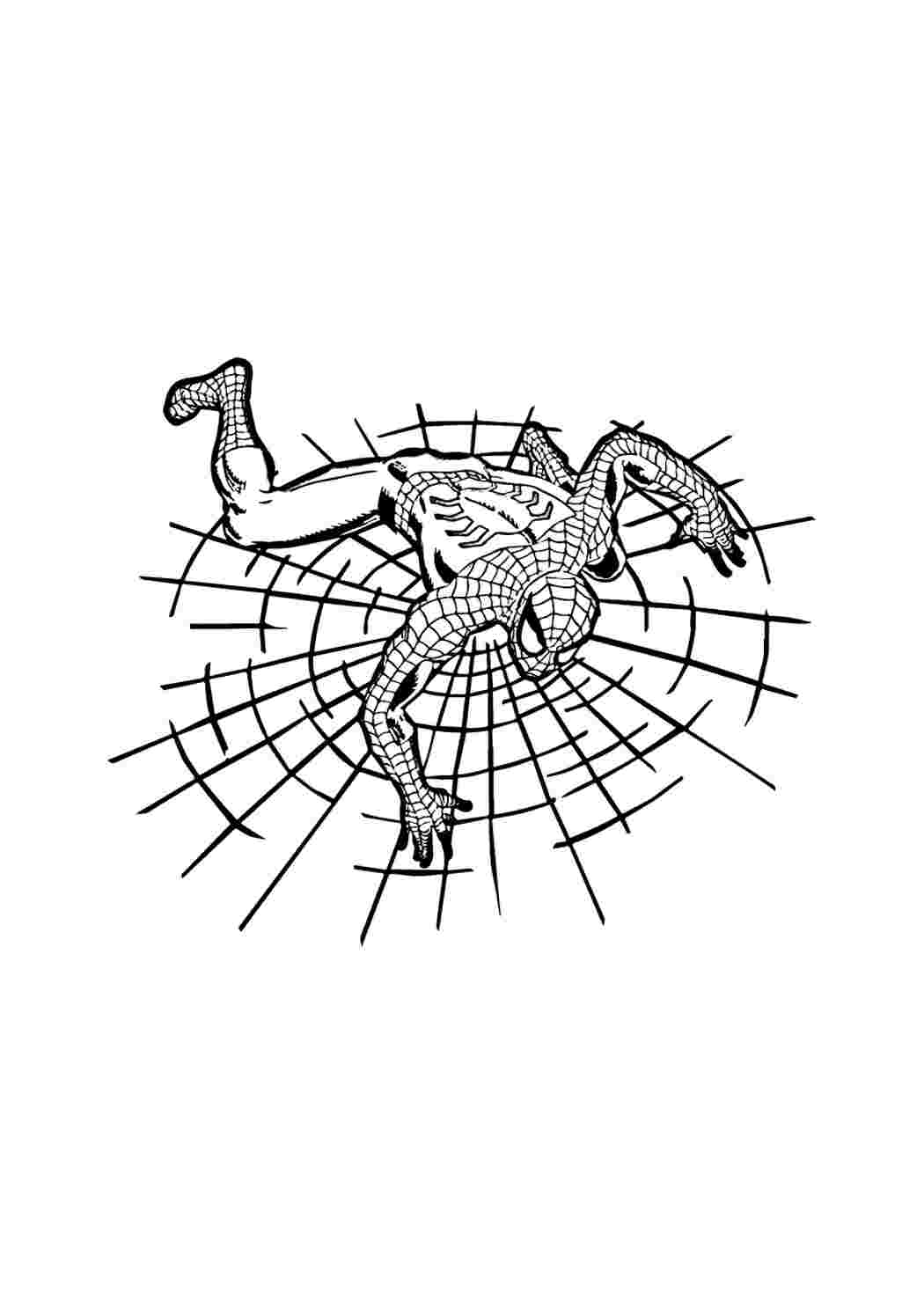 Людина павук лізе по павутині Завантажити та роздрукувати розмальовки безкоштовно