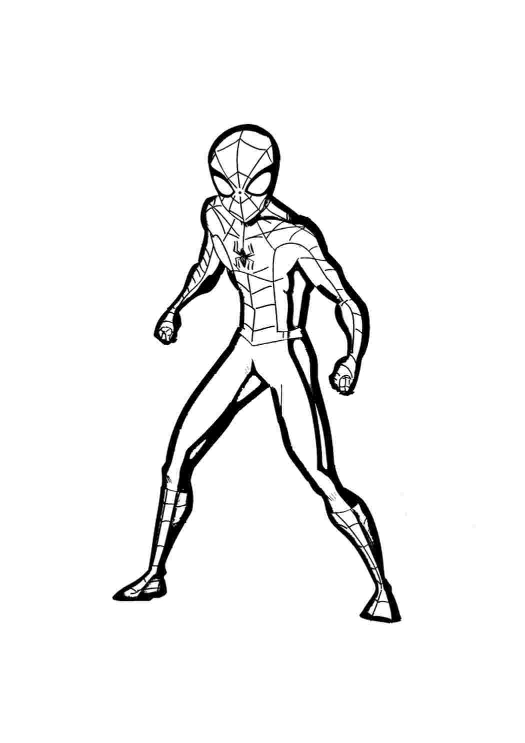 Легка розмальовка Людини павука Розмальовки скачати та роздрукувати безкоштовно