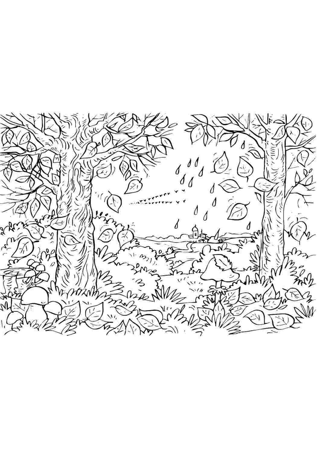 Раскраска Осінь у лісі