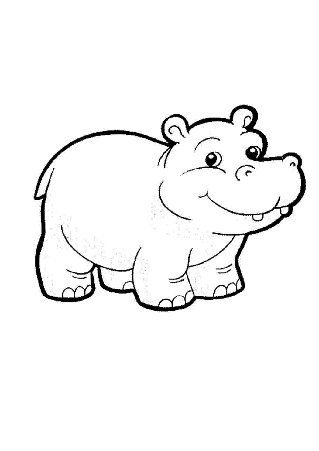 Раскраска Бегемоти це тварини з величезною пащею які живуть у болотах