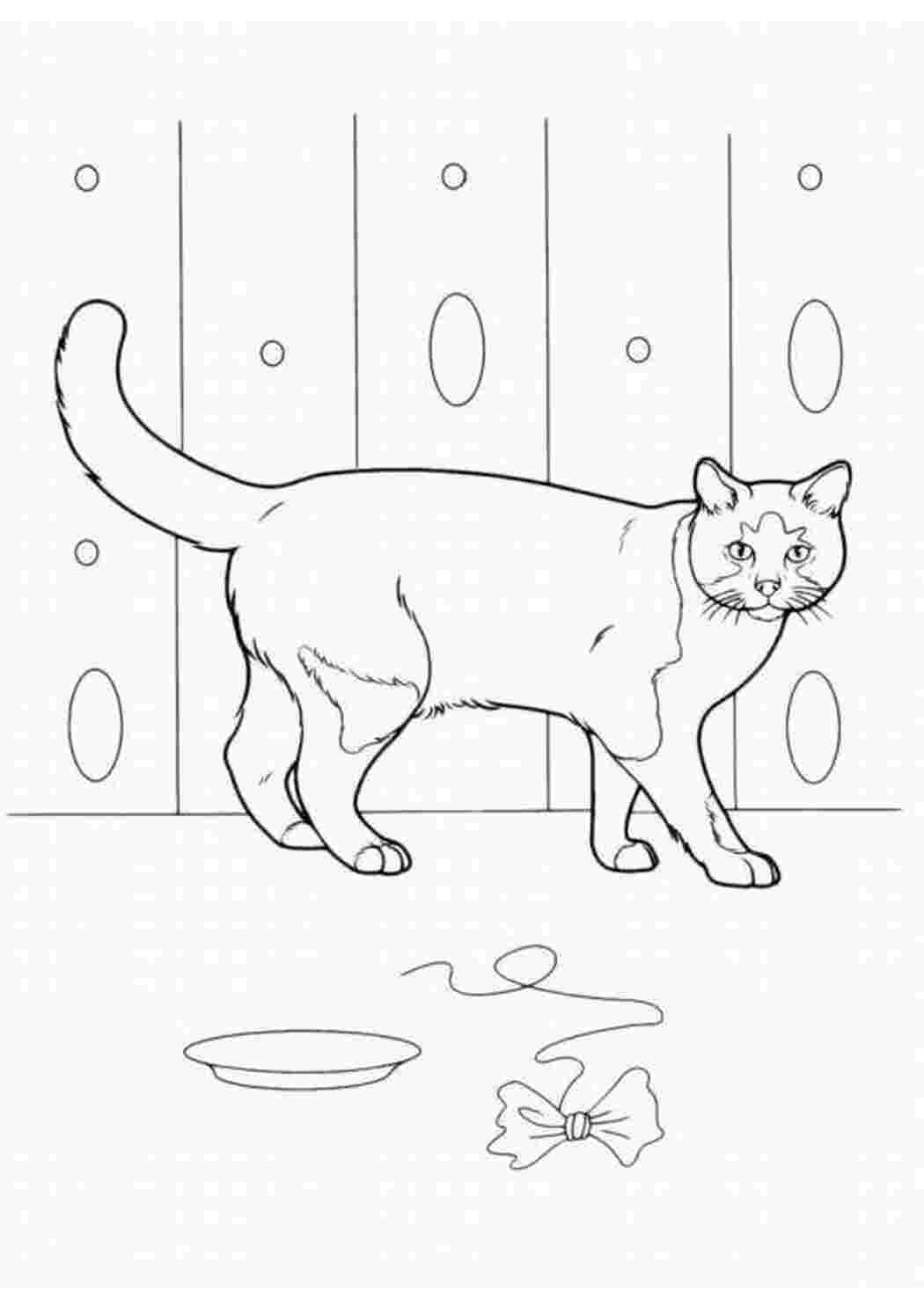 Раскраска Малюнок грайливого кота