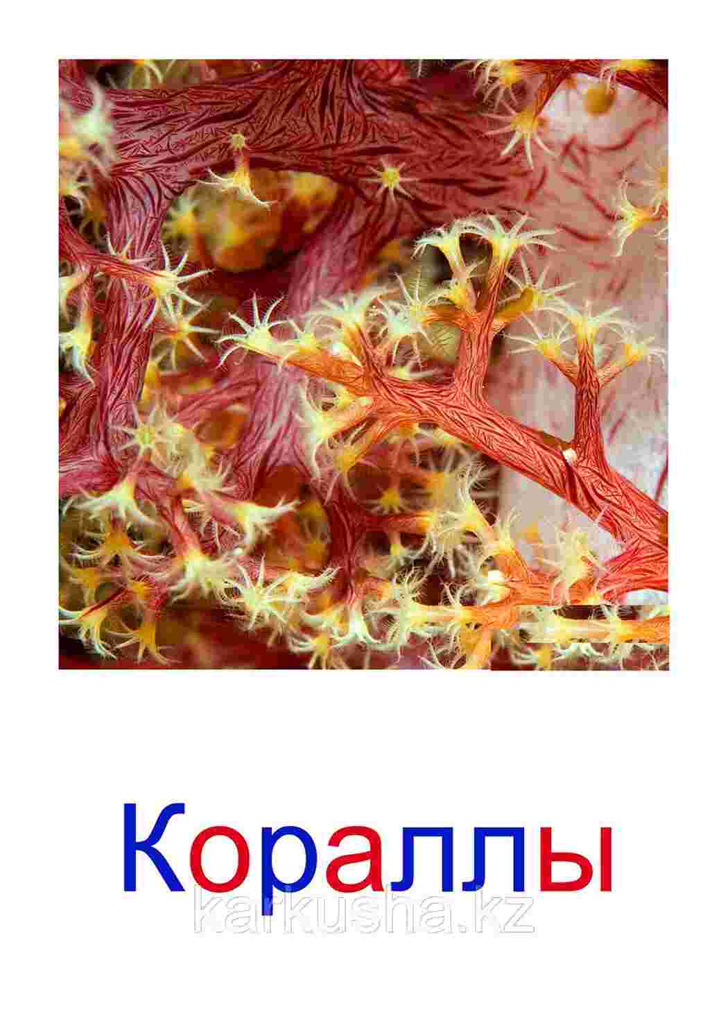 Раскраска картки морські мешканці