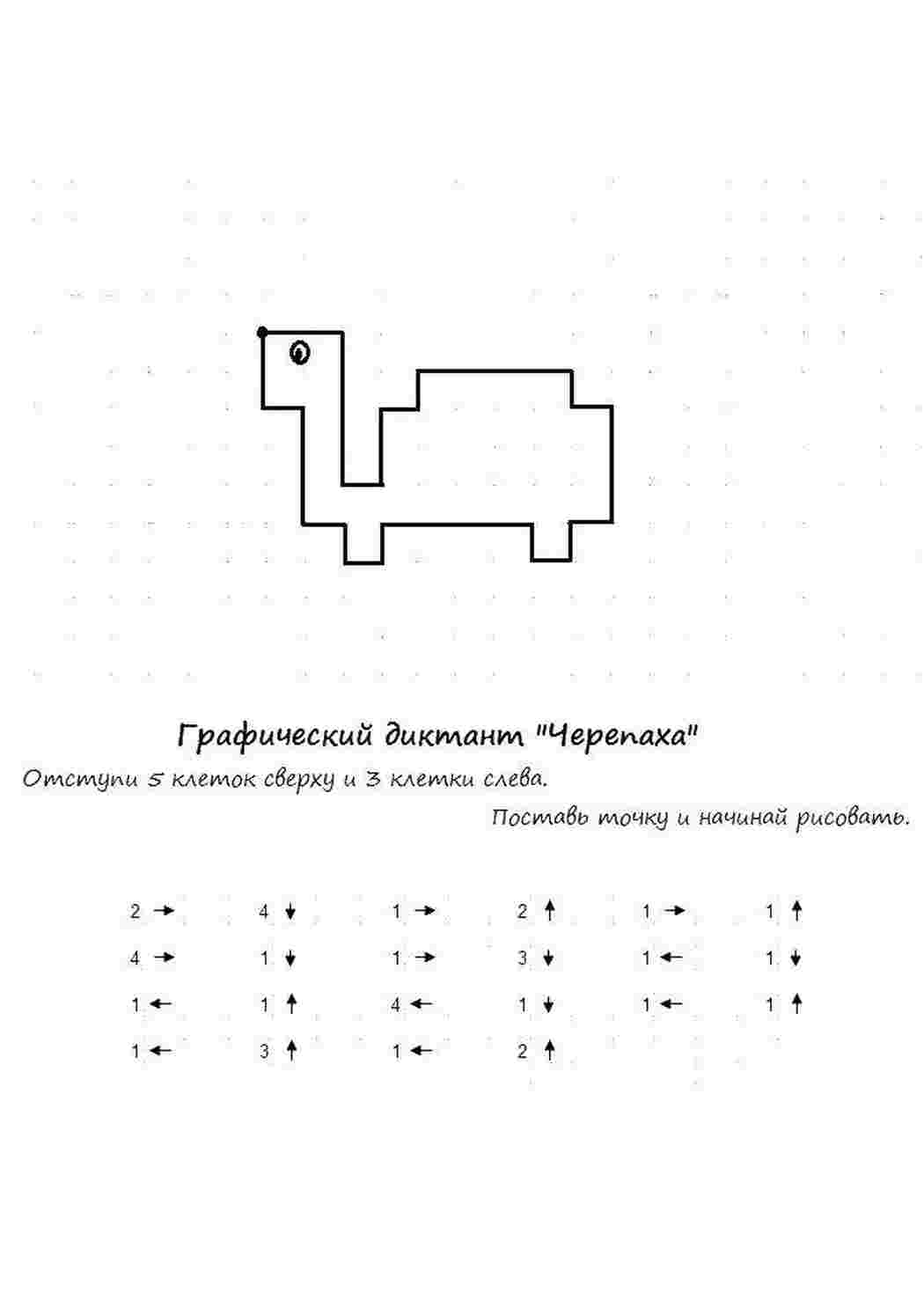 Раскраска Графічний диктант "Черепаха"