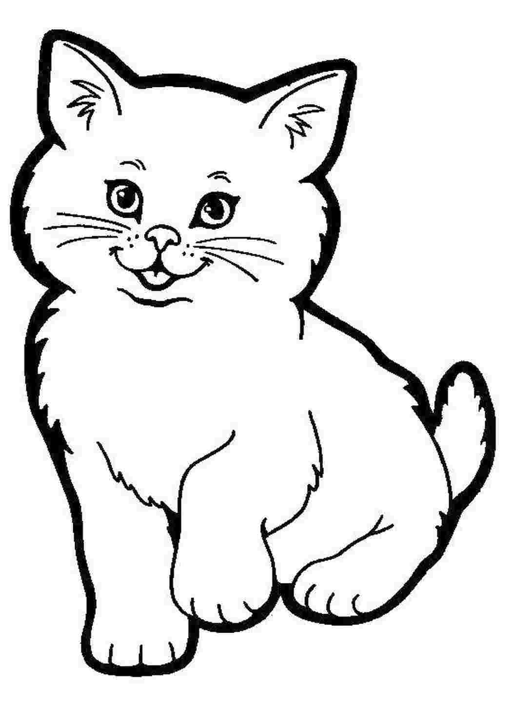 Раскраска Пухнастий кошеня