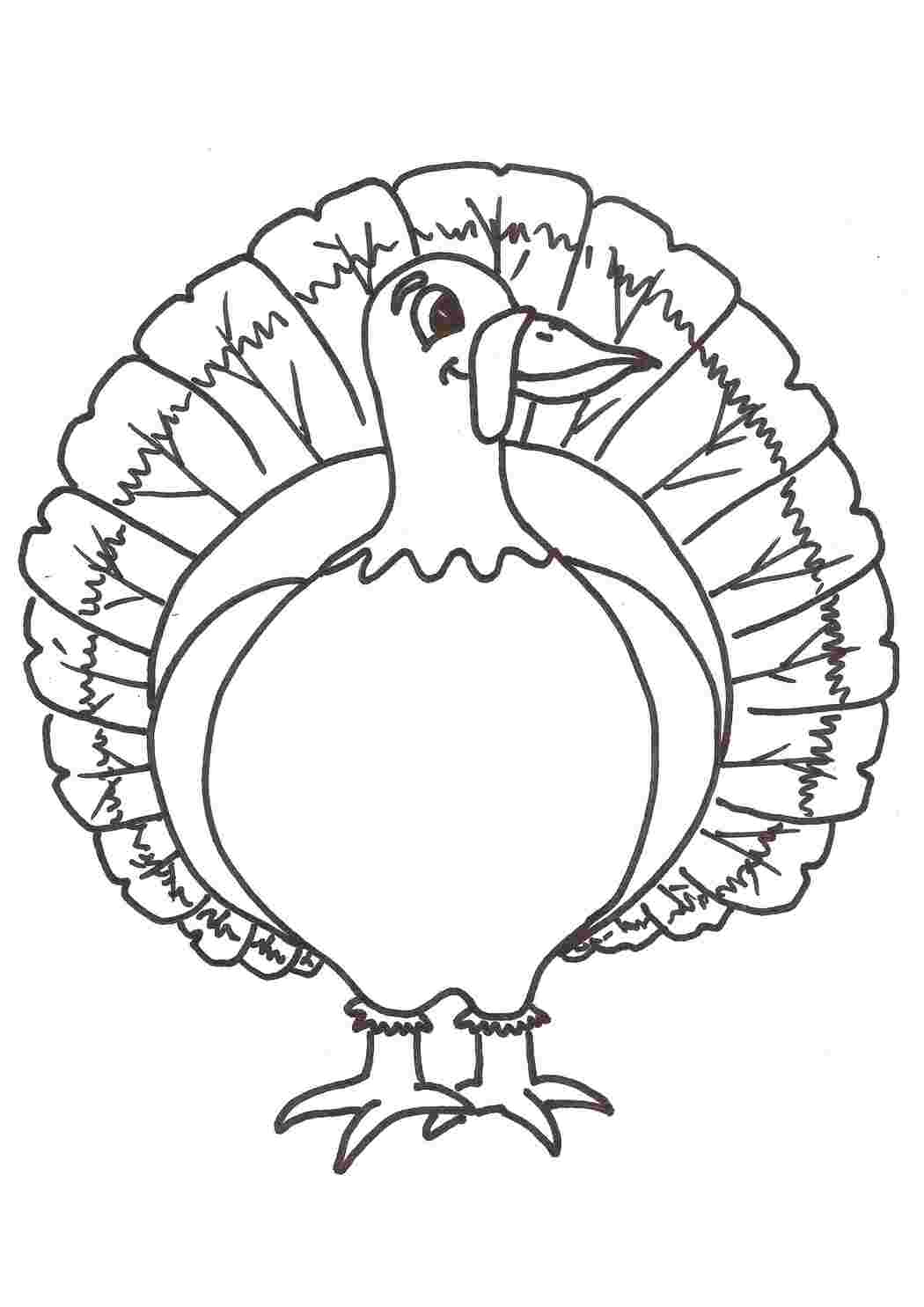 Раскраска Індик