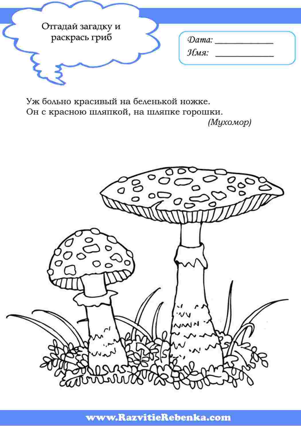 Раскраска розфарбунки на тему гриби для дітей