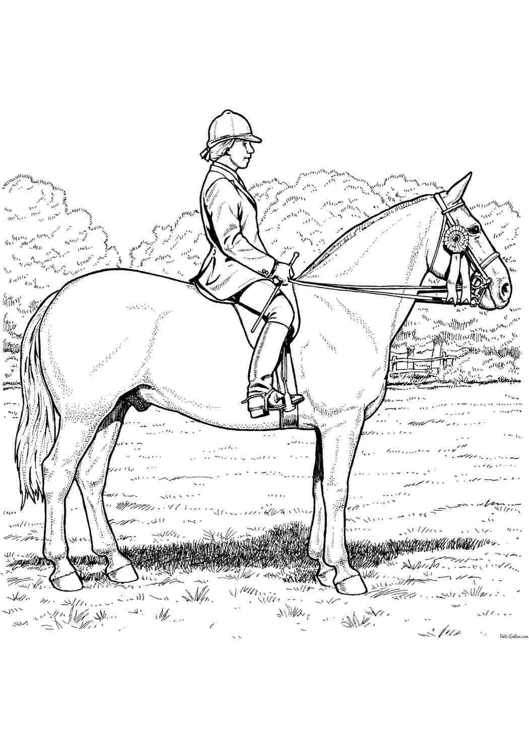 Раскраска Коня переучують