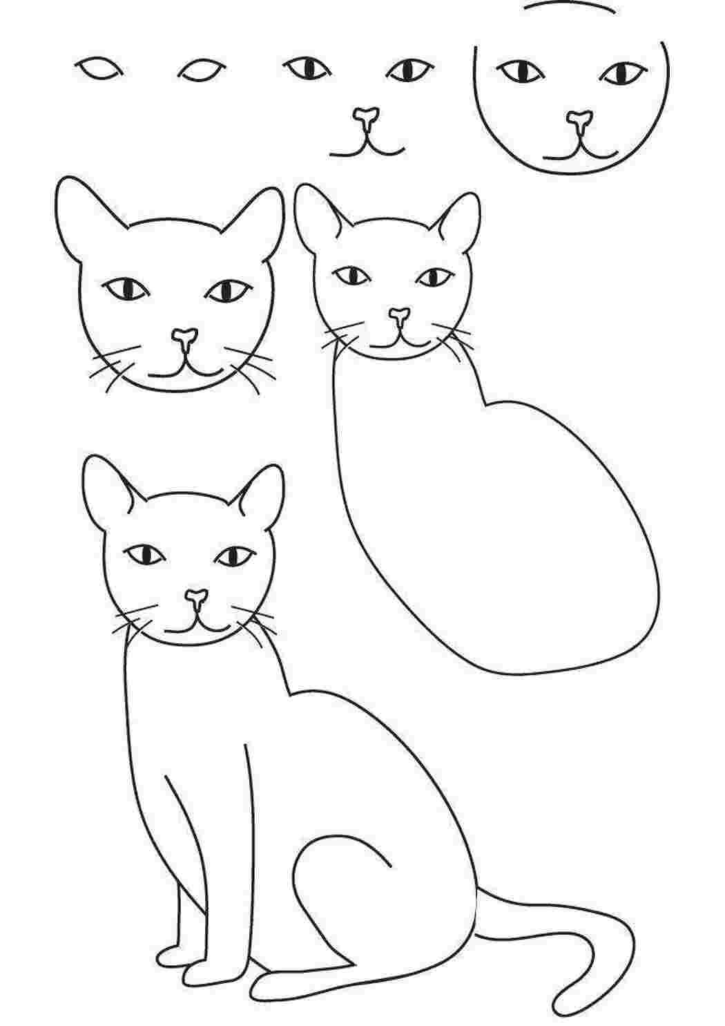 Раскраска Малюємо кота покроково