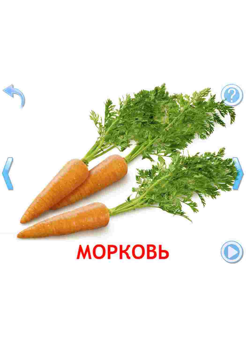 Раскраска картки овочі помідор картопля капуста