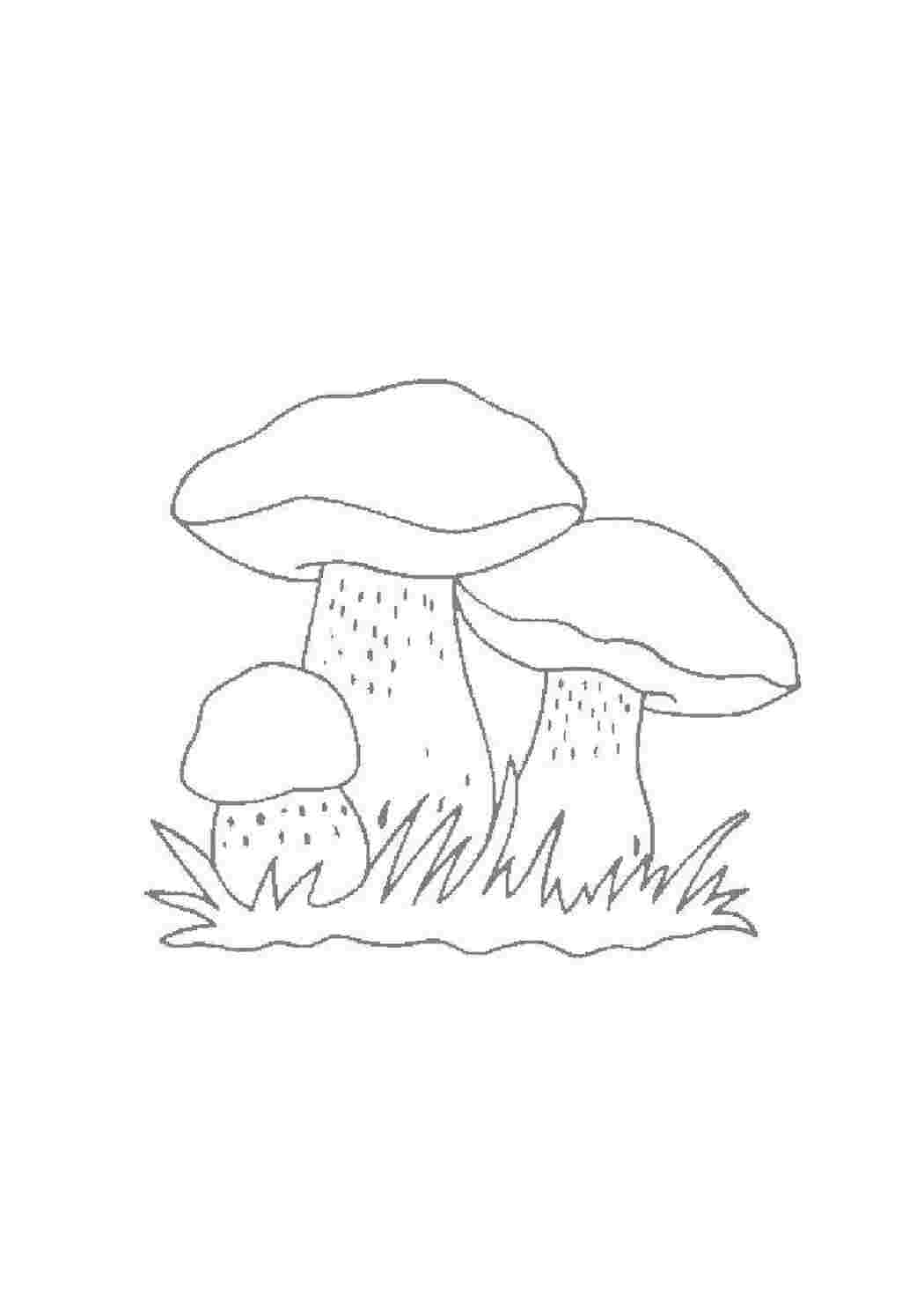 Раскраска Гриби