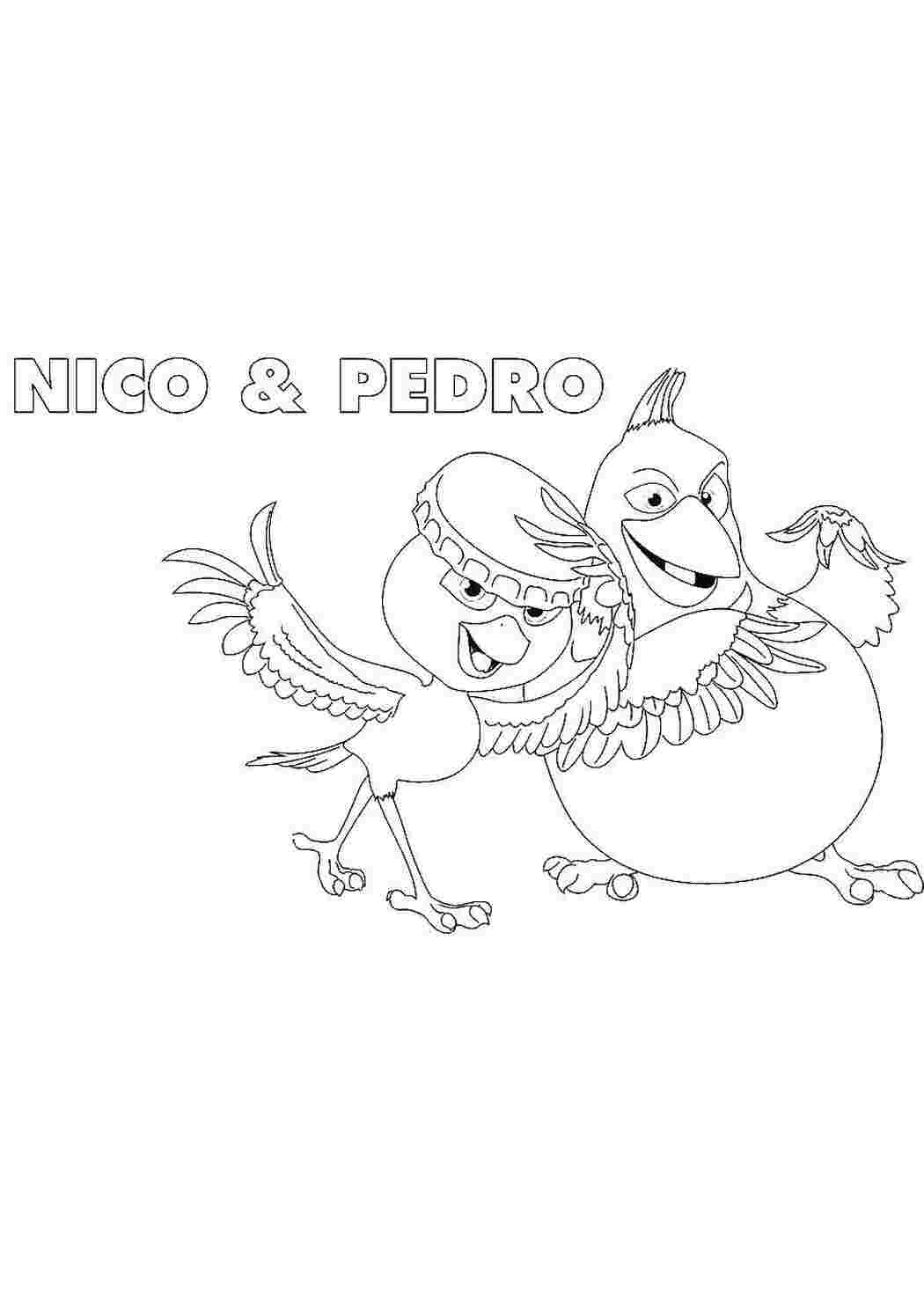 Раскраска Ніко та Педро