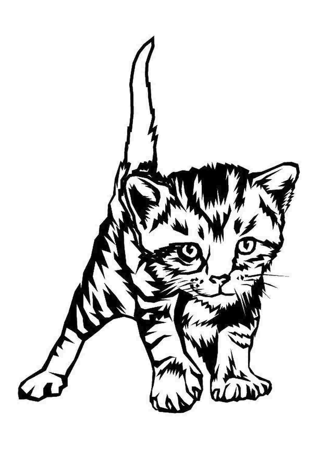 Раскраска Смугастий кошеня