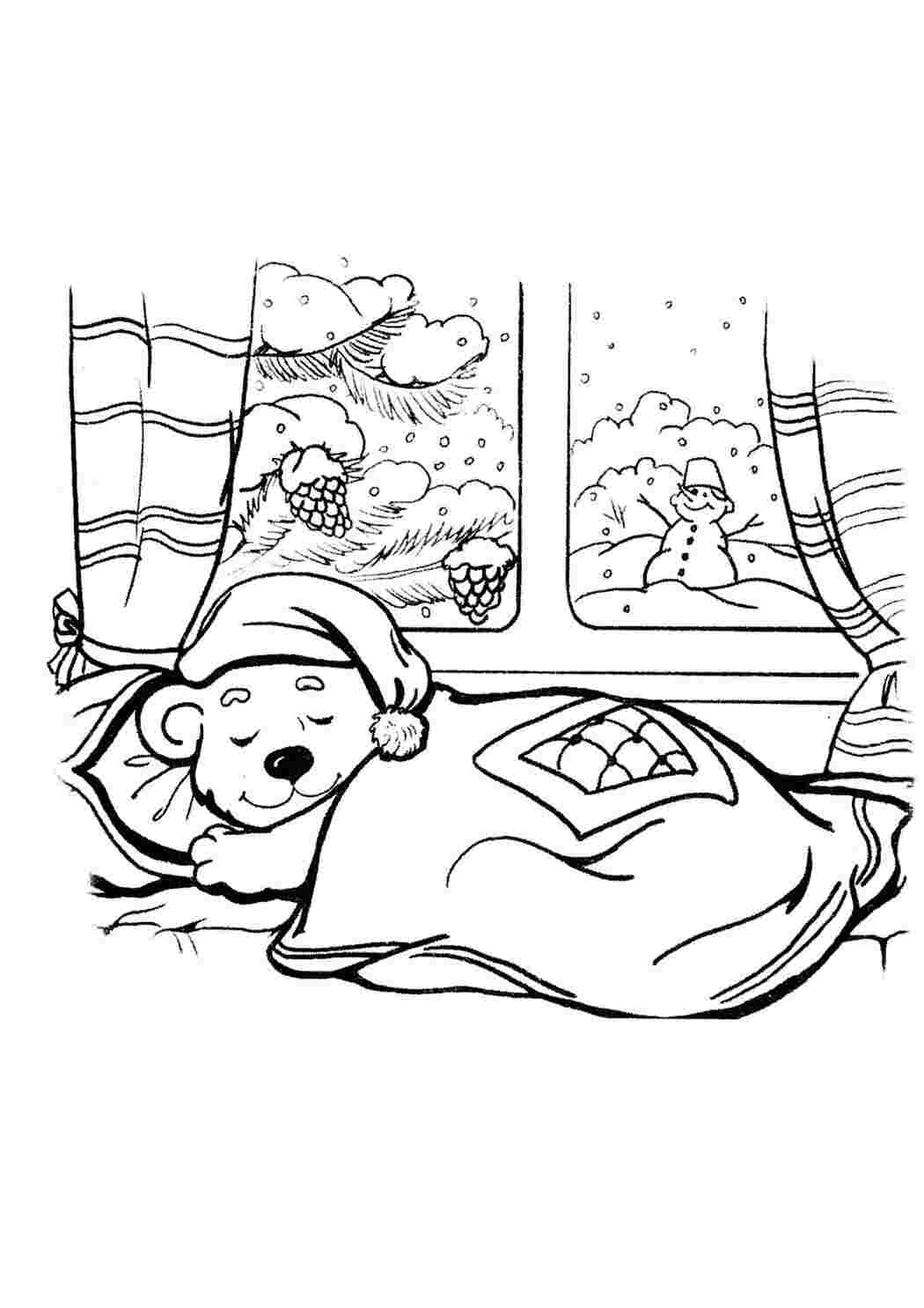 Раскраска Зима ведмідь у сплячці