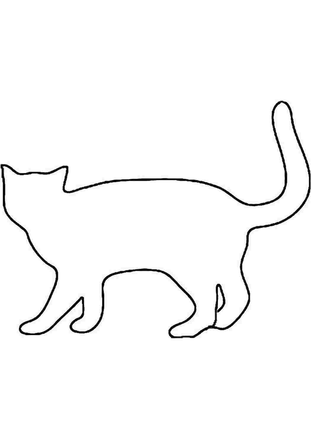 Раскраска Контур котики
