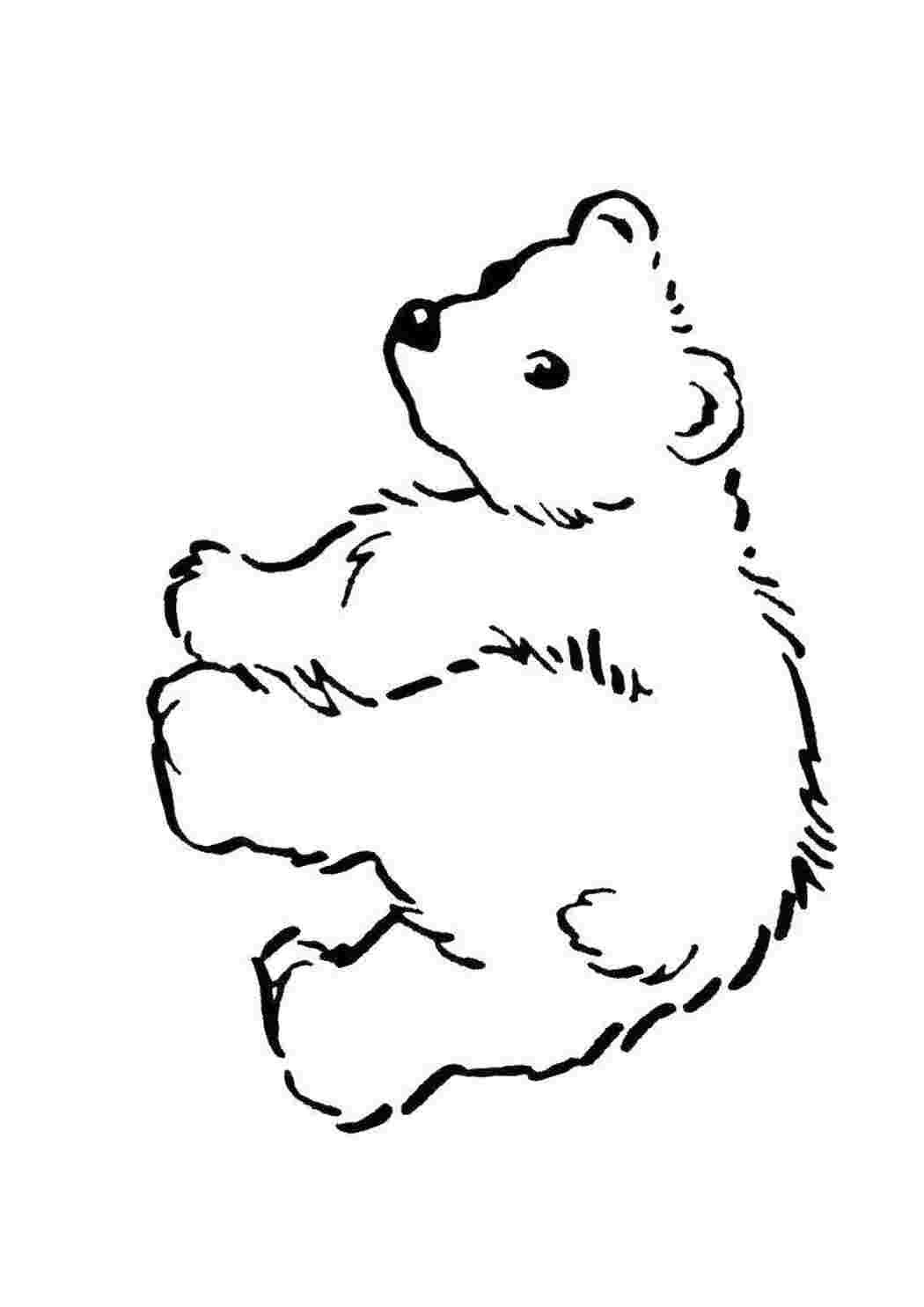 Раскраска Ведмідь
