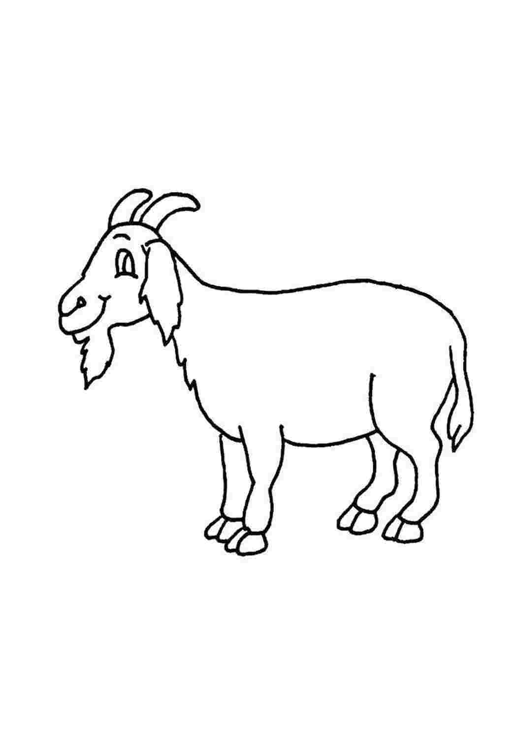 Раскраска кіз