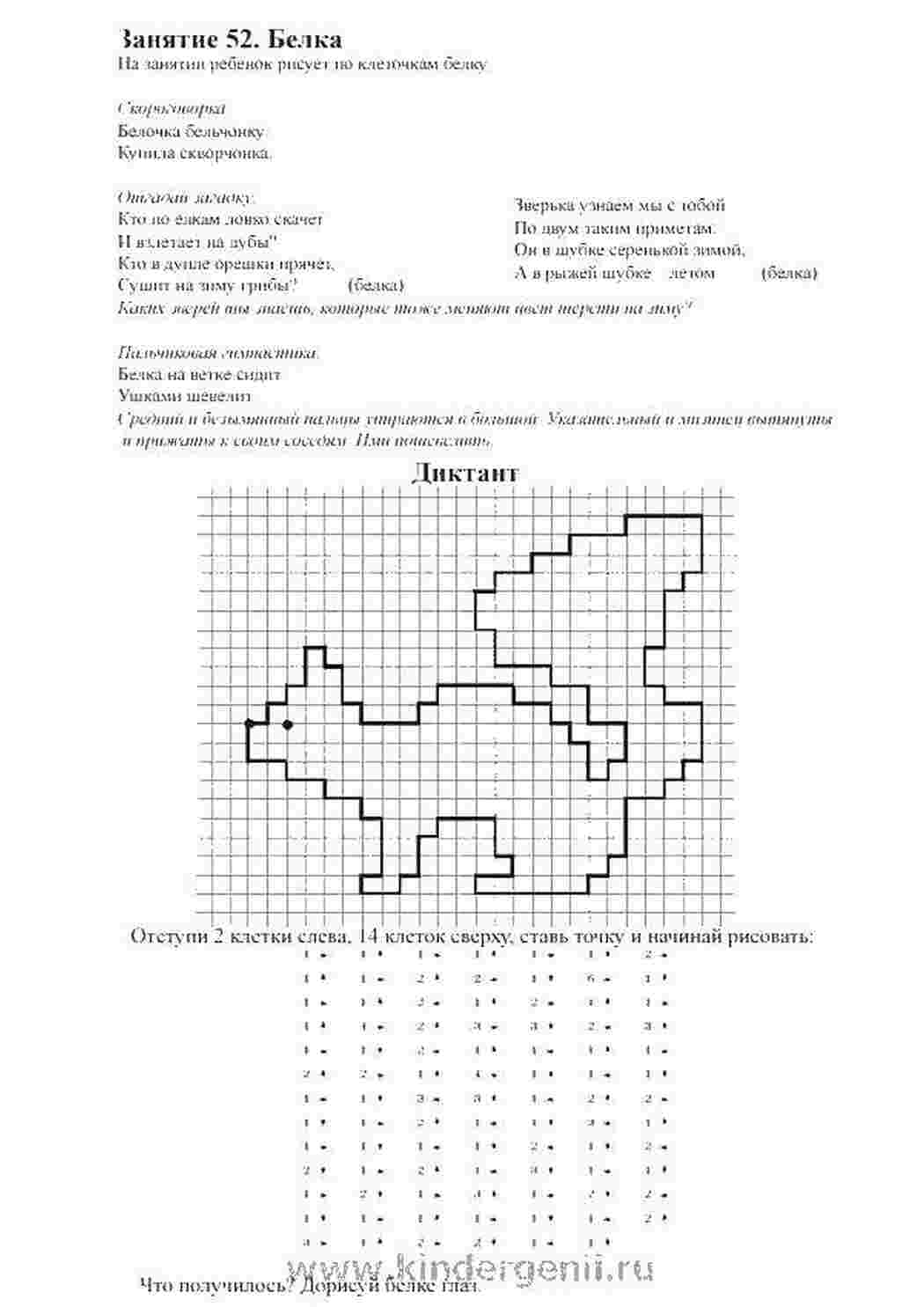 Раскраска білка