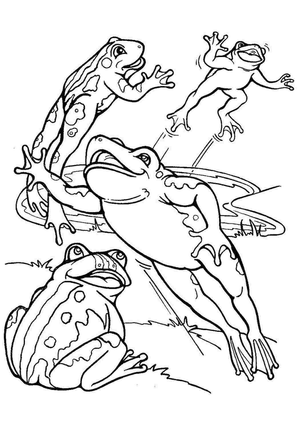 Раскраска Жаби у ставку