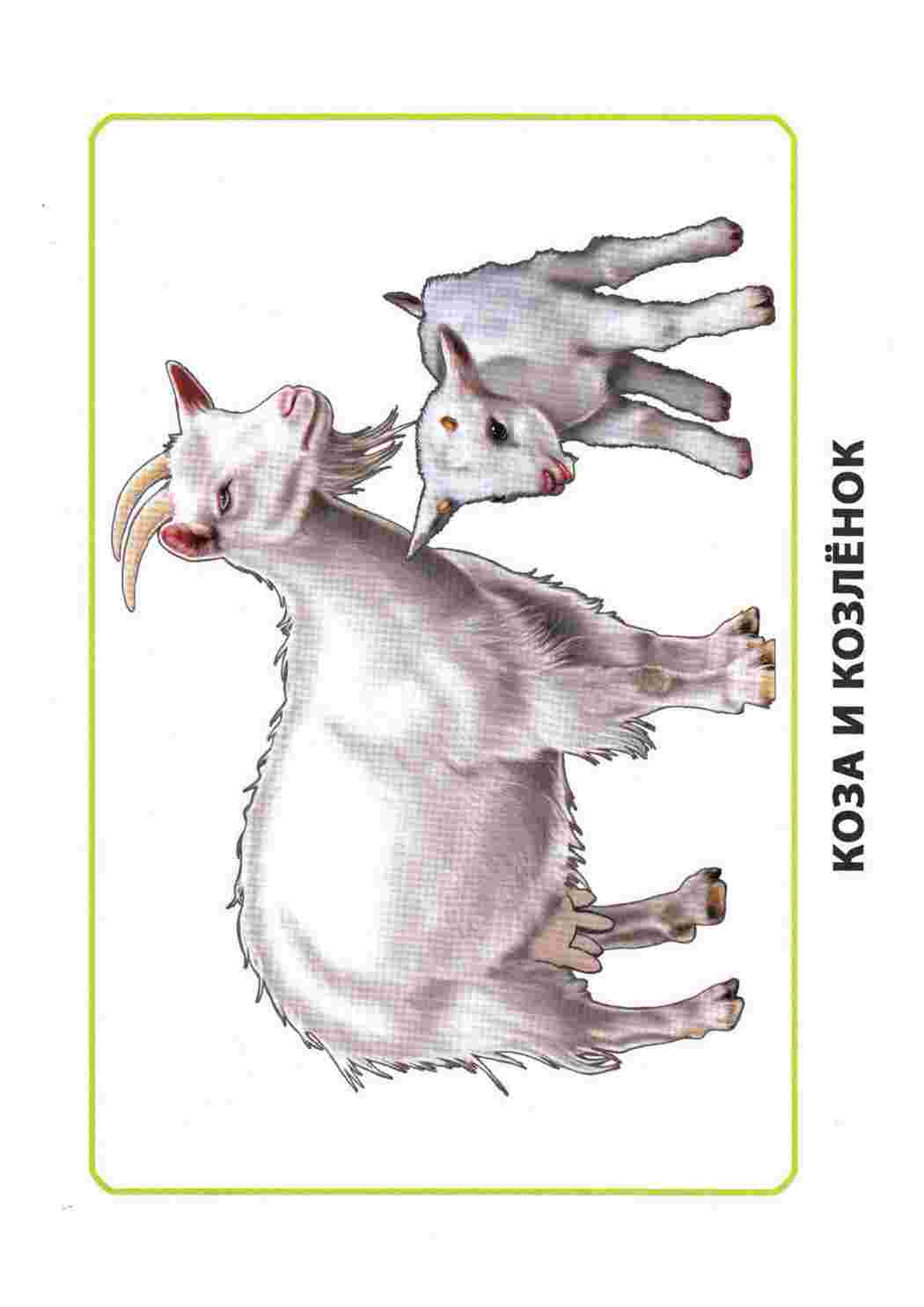 Раскраска Картки з навколишнього світу Мами та діти Ранній розвиток дітей