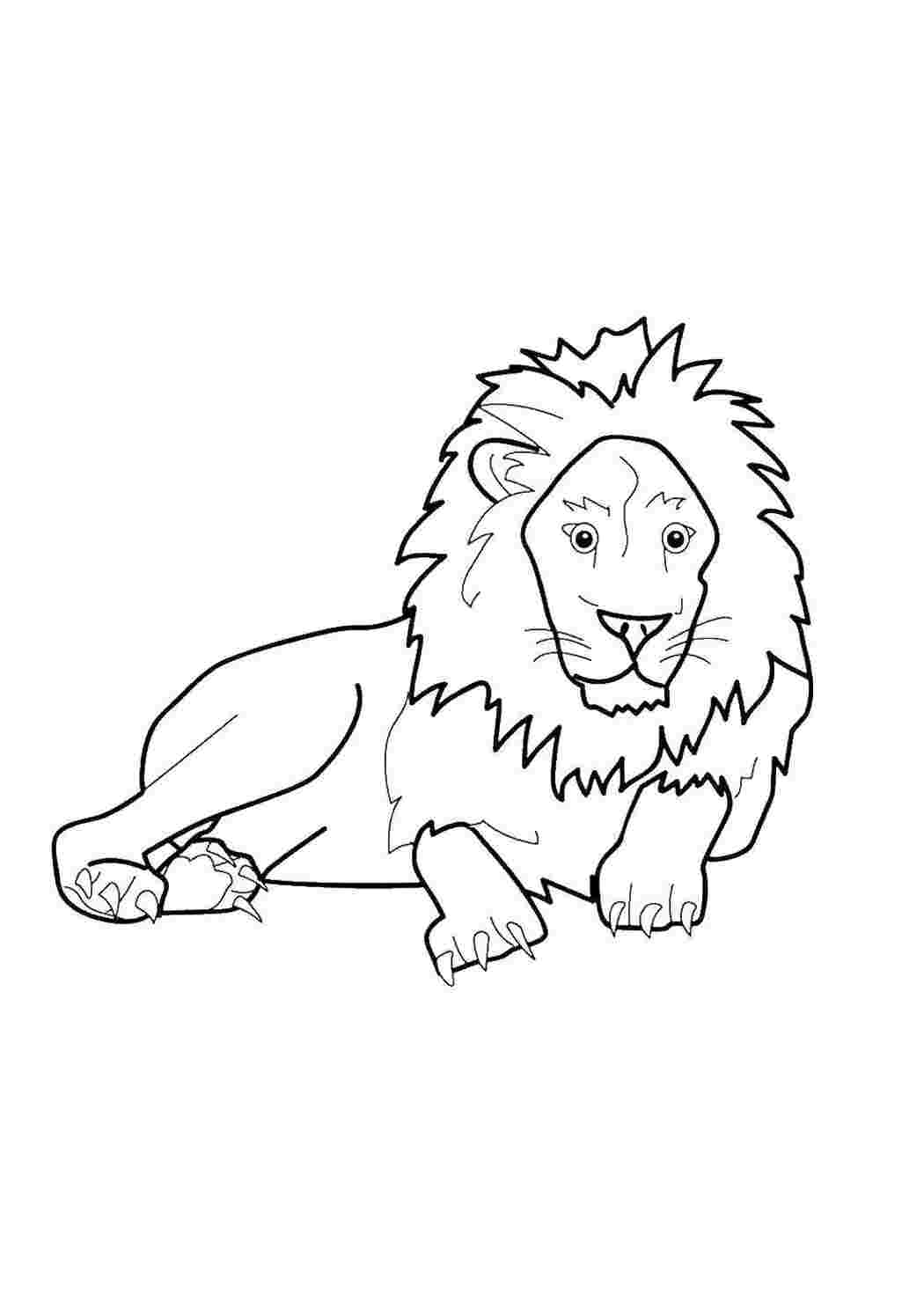 Раскраска Лев