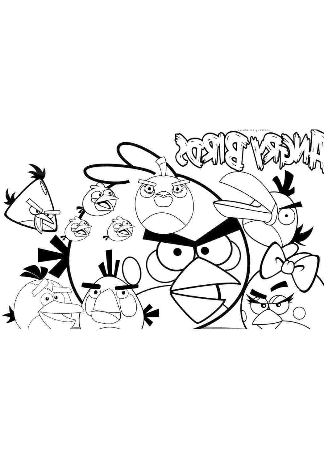 Раскраска Пташки з Angry Birds