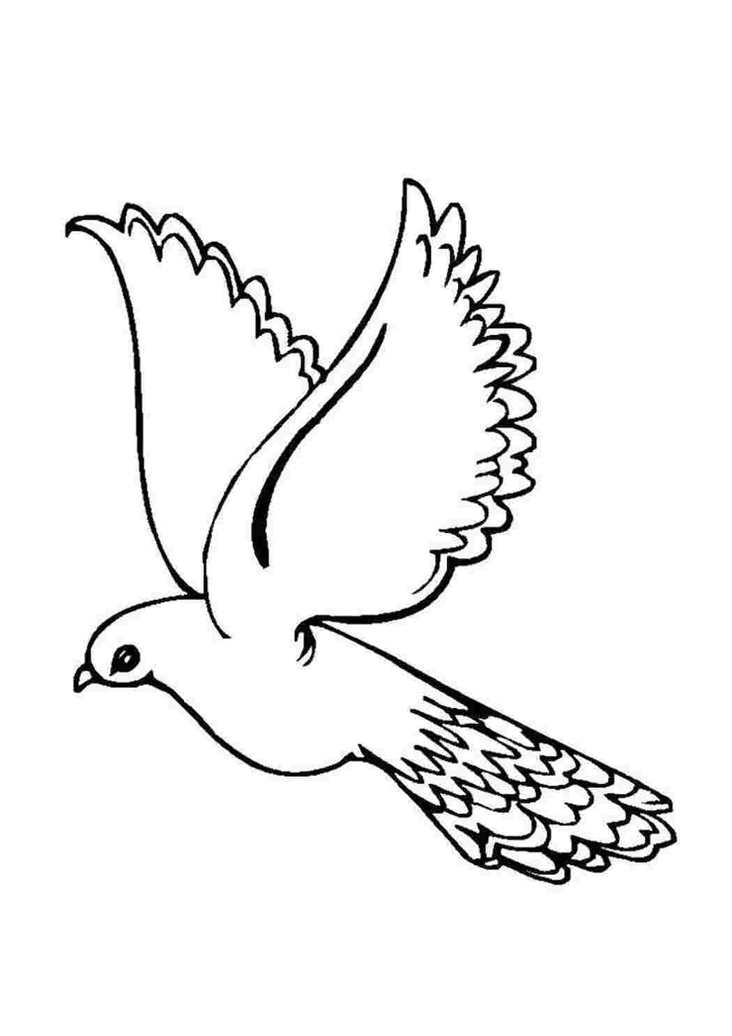 Раскраска Блакитний