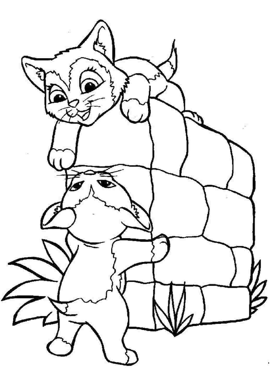 Раскраска Ігри кошенят