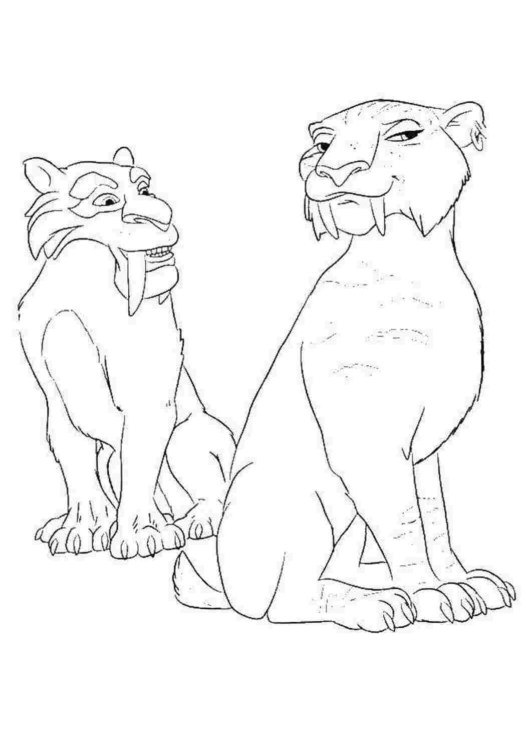 Раскраска Дієго та тигриця