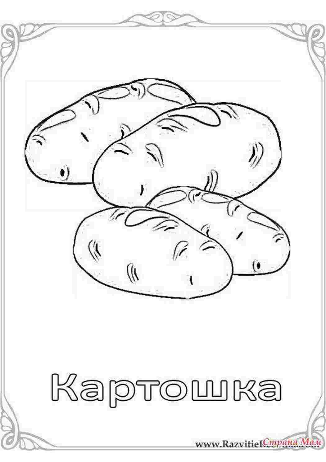 Раскраска Картопля