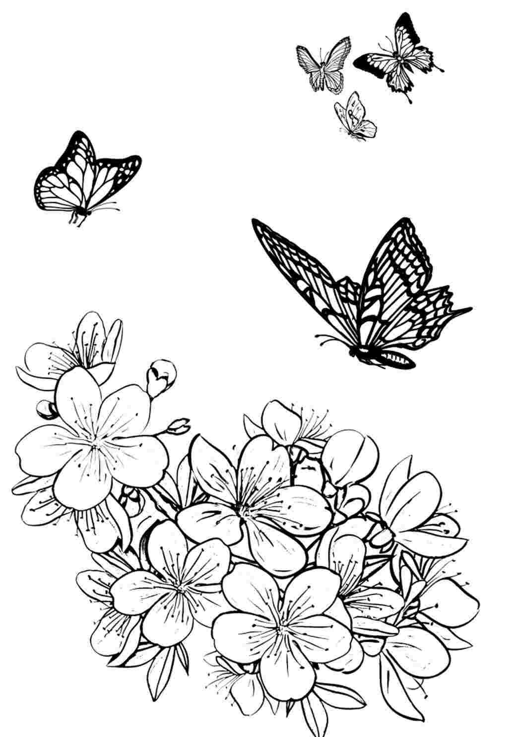 Раскраска Гарні розмальовки Метелики та квіти