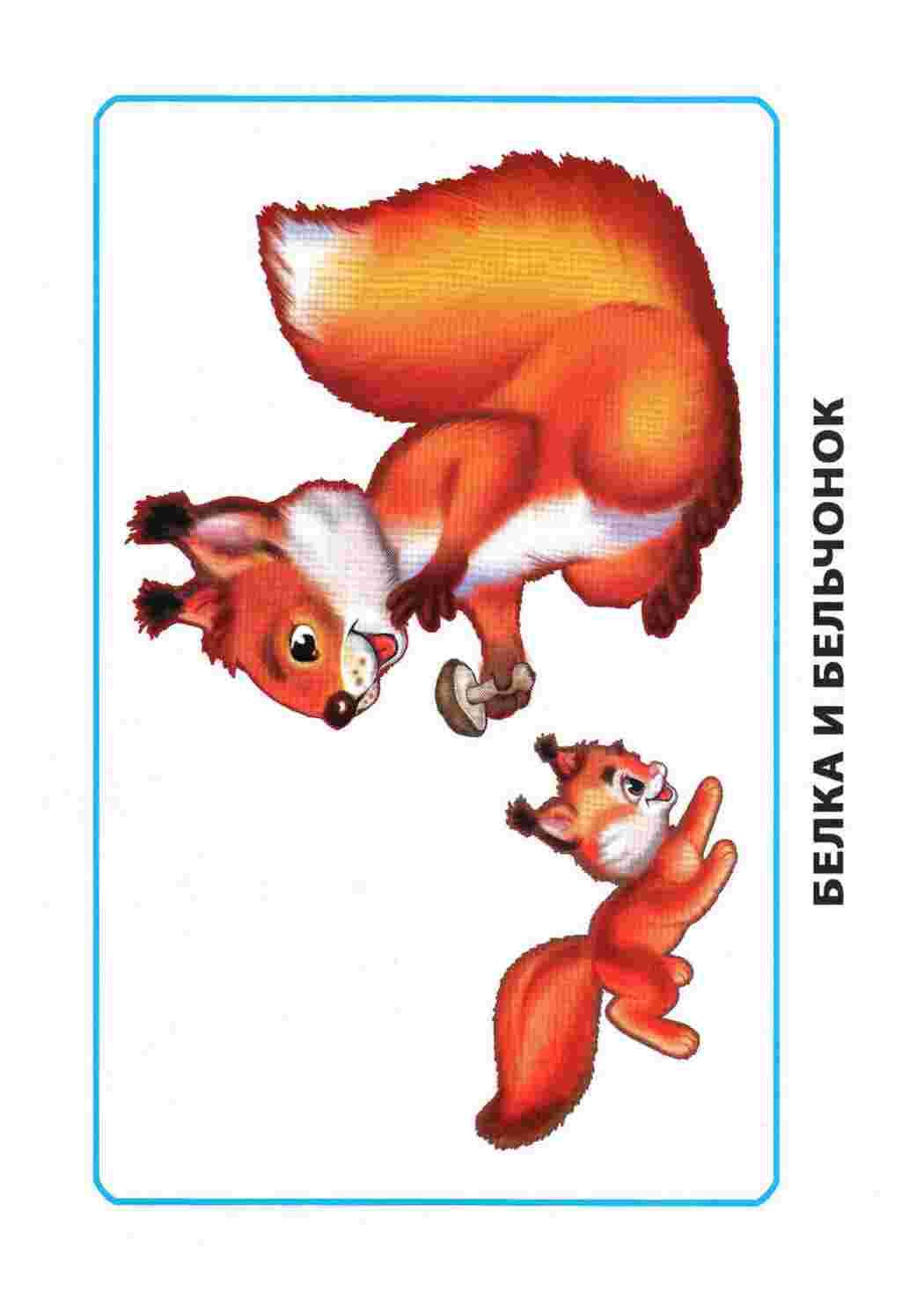 Раскраска Картки з навколишнього світу. Мами та діти. Ранній розвиток дітей.