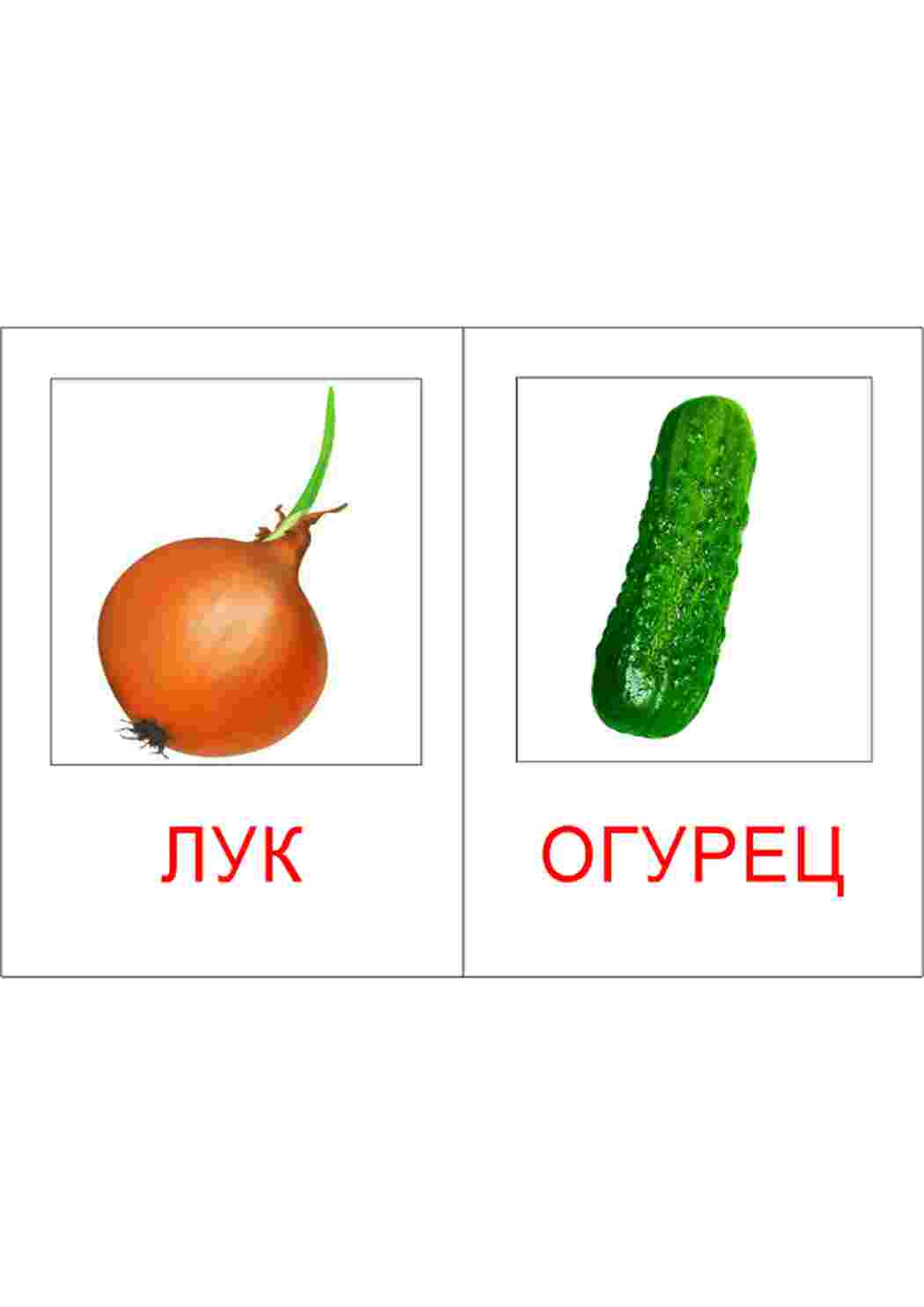 Раскраска картки овочі помідор картопля капуста