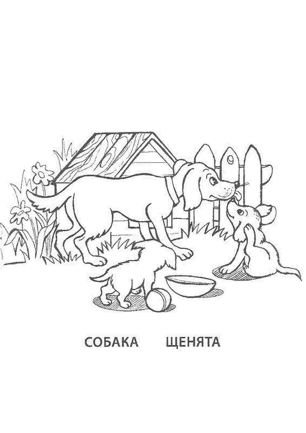Раскраска Собака і цуценята