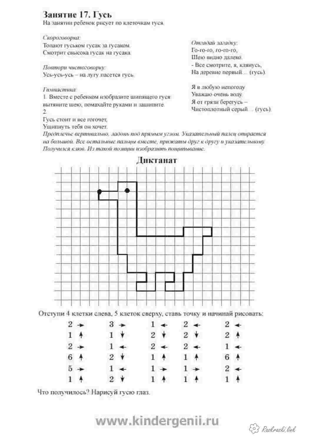 Раскраска гусь Графічний диктант