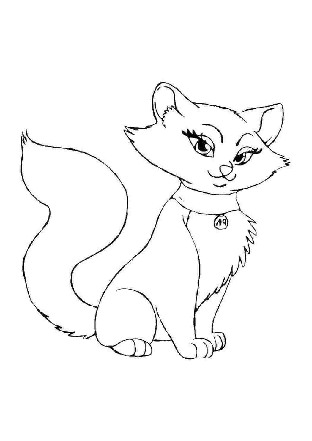 Раскраска Кошеня