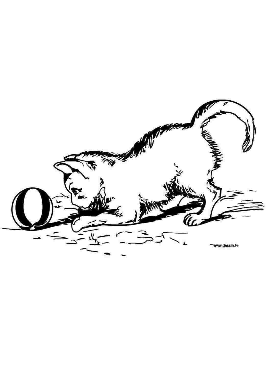 Раскраска Кошеня та м ячик