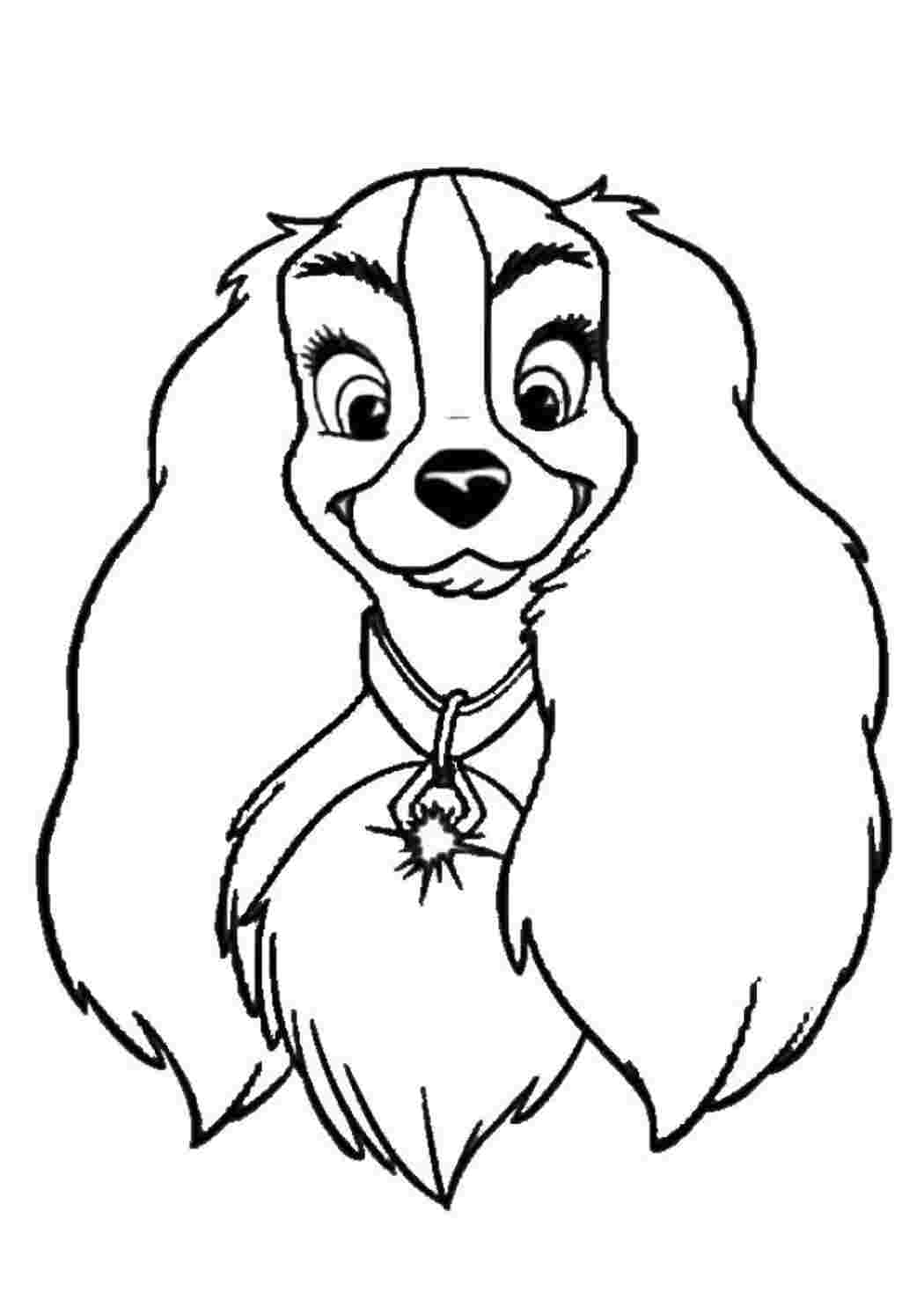 Раскраска Гарні розмальовки Гарненька собачка зі Скубі Ду