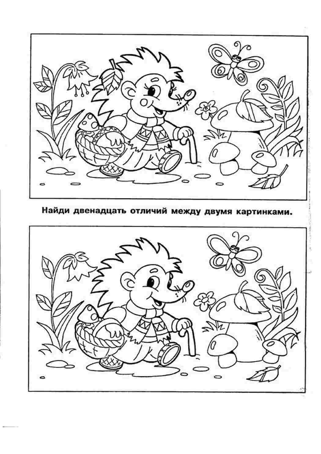 Раскраска Розфарбування їжачка