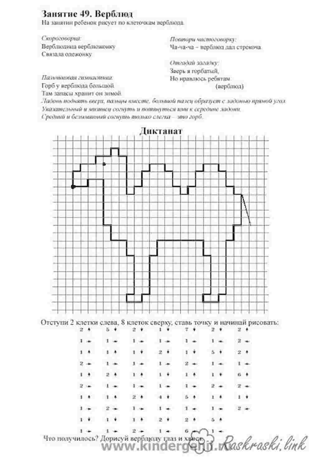 Раскраска графічний диктант верблюд
