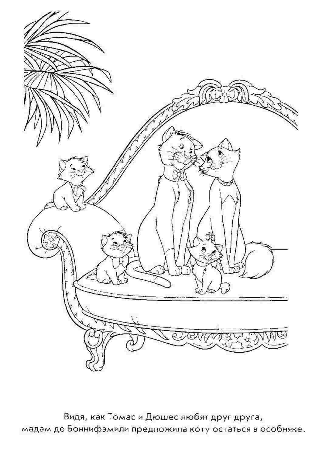 Раскраска Коти аристократи