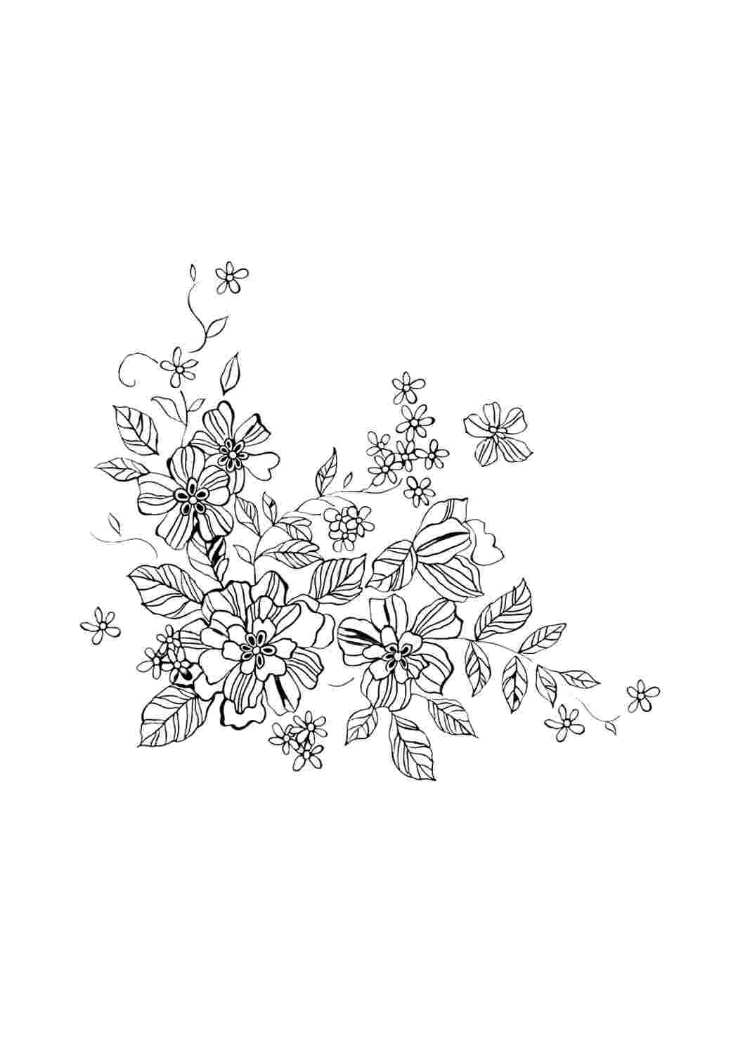 Раскраска Гарні розмальовки Довгі та деталізовані квіти