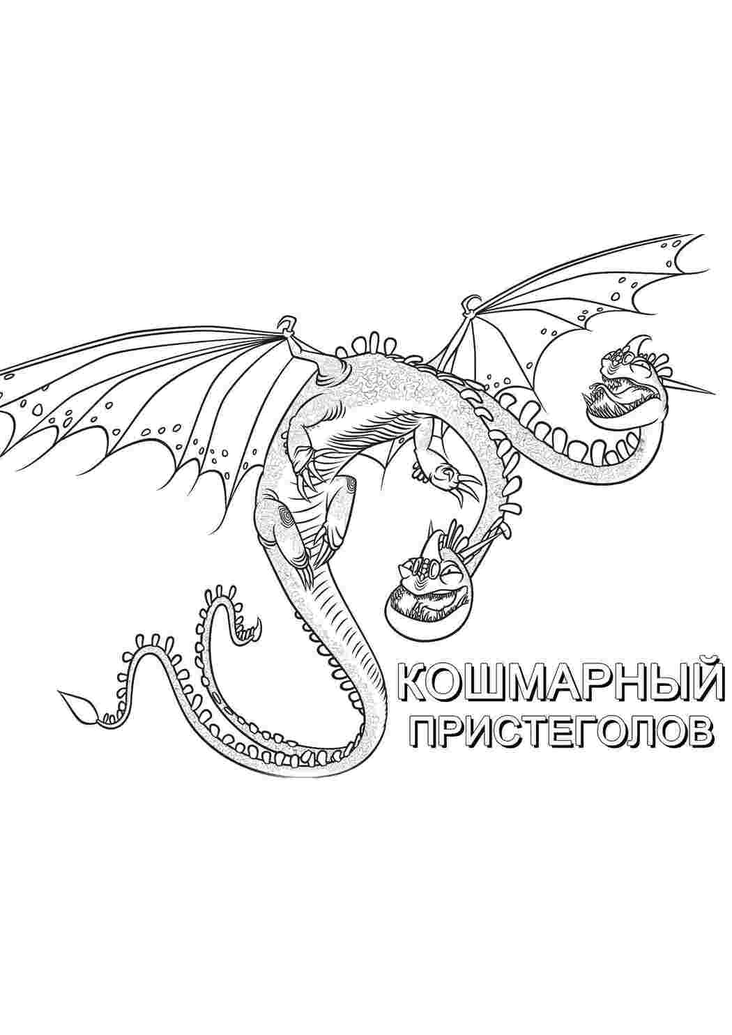 Раскраска Мультфільм Фуррія