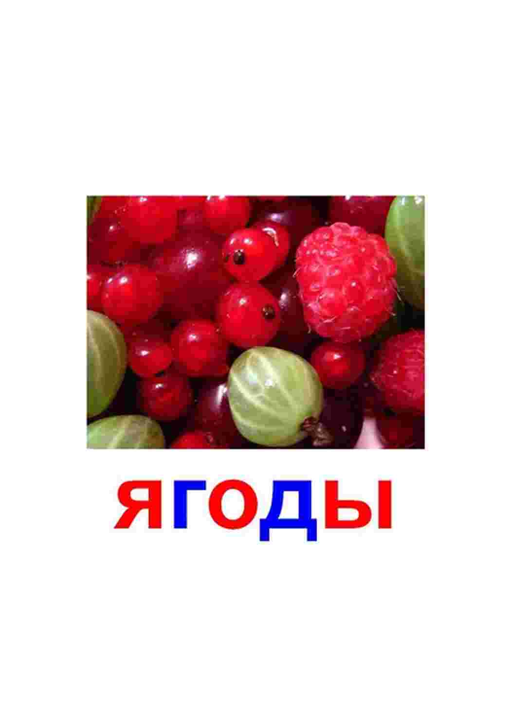 Раскраска картки ягода малина журавлина ожина