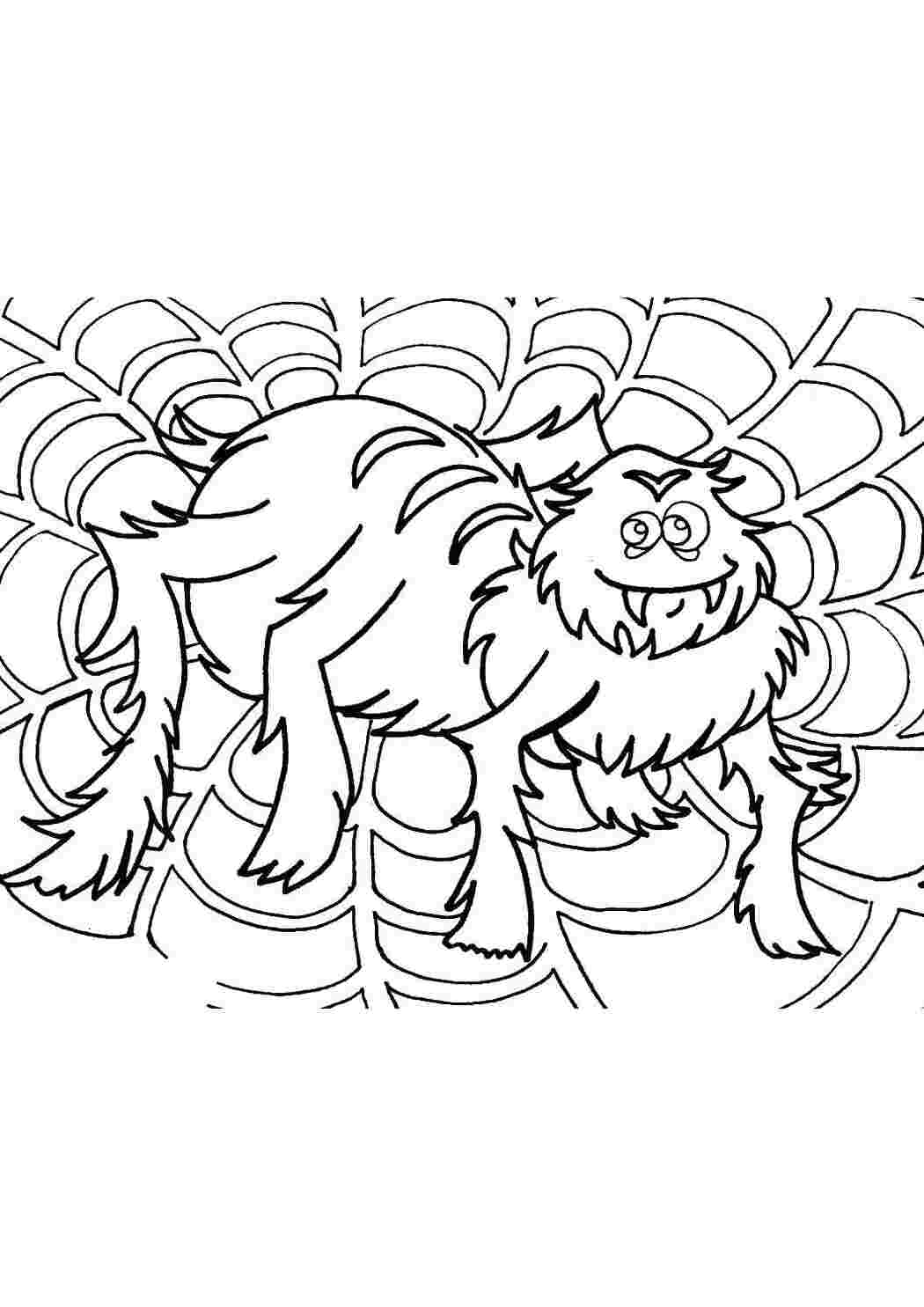 Раскраска Пухнастий павук