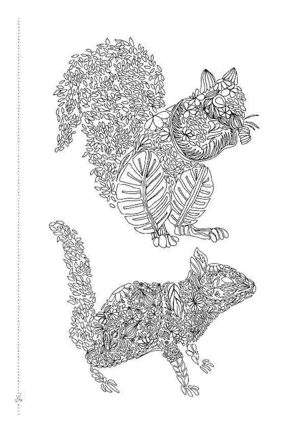 Раскраска Розфарбування антистрес