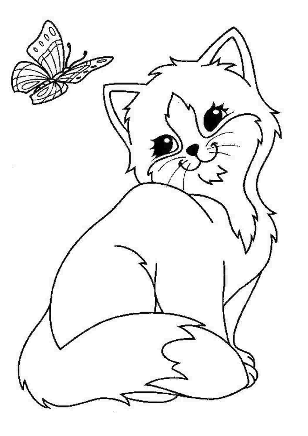 Раскраска Кошеня дивиться на метелика