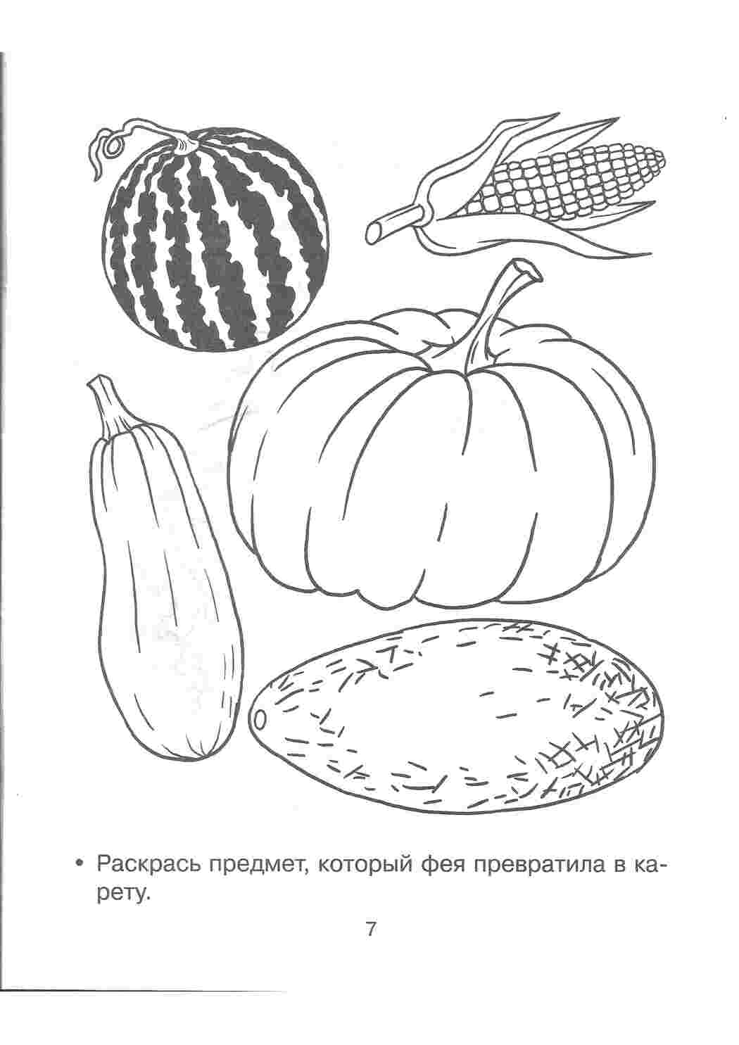 Раскраска Розвиваюча книжка розмальовка розмалюй предмет якого фея перетворила на колію