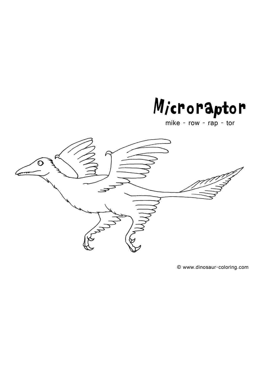 Раскраска Мікрораптор
